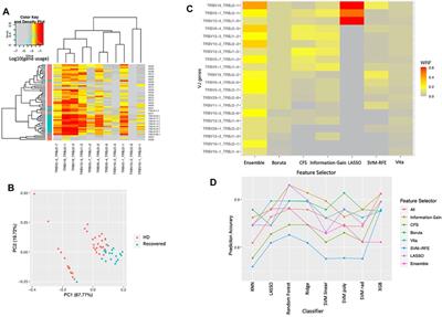 Novel Ensemble Feature Selection Approach and Application in Repertoire Sequencing Data